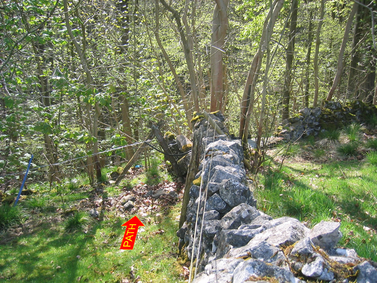 Photograph: 2009: Path obstructed by wire fence