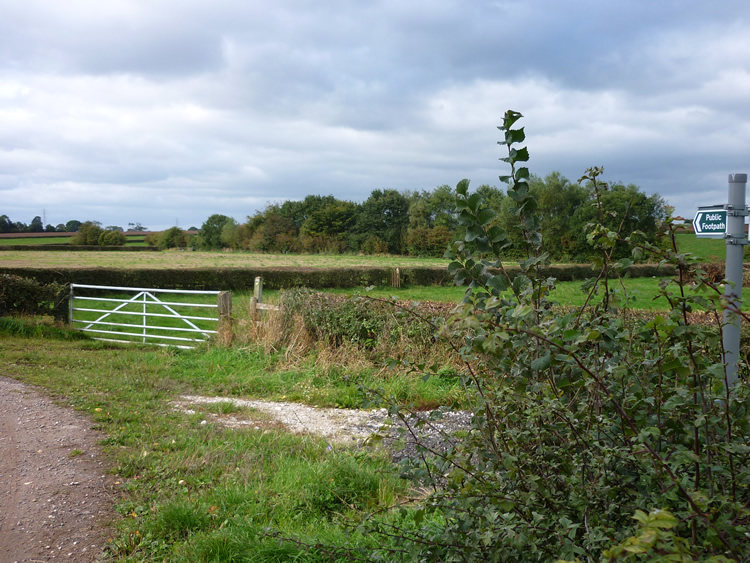 Photograph: September 2010: New sign