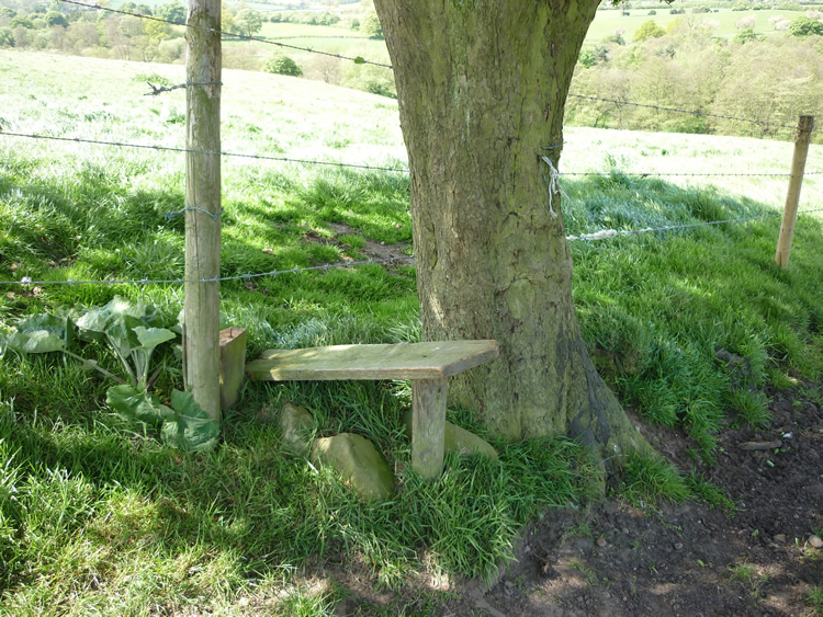 Photograph: 2009: Stile unusable