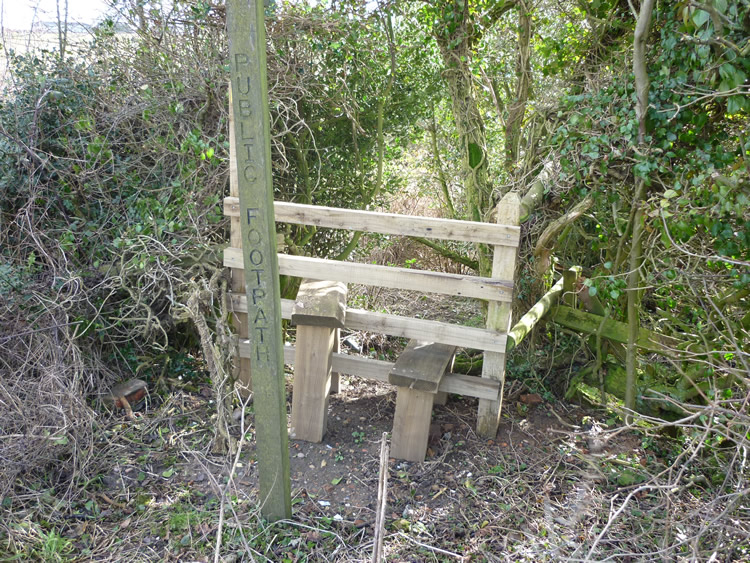 Photograph: 2010: New stile