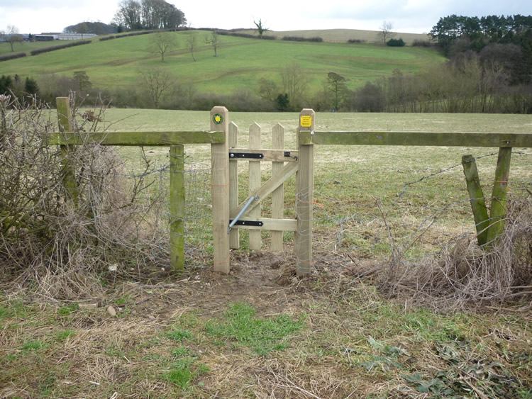 Photograph: 2010: Stile replaced by gate