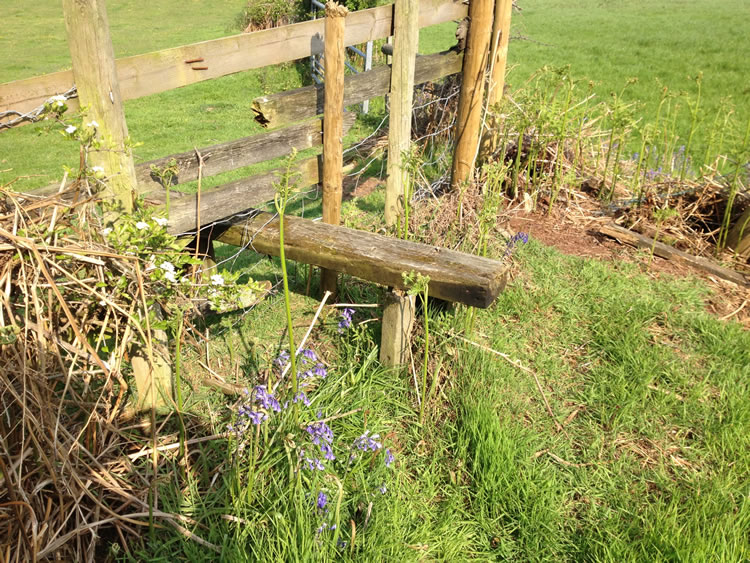 Photograph: 2012: Rotten stile