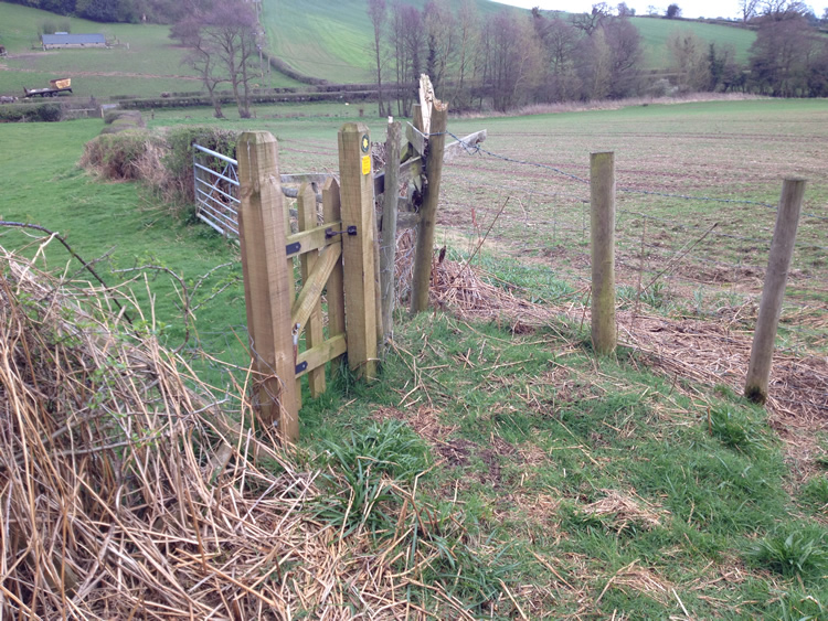 Photograph: 2014: New gate