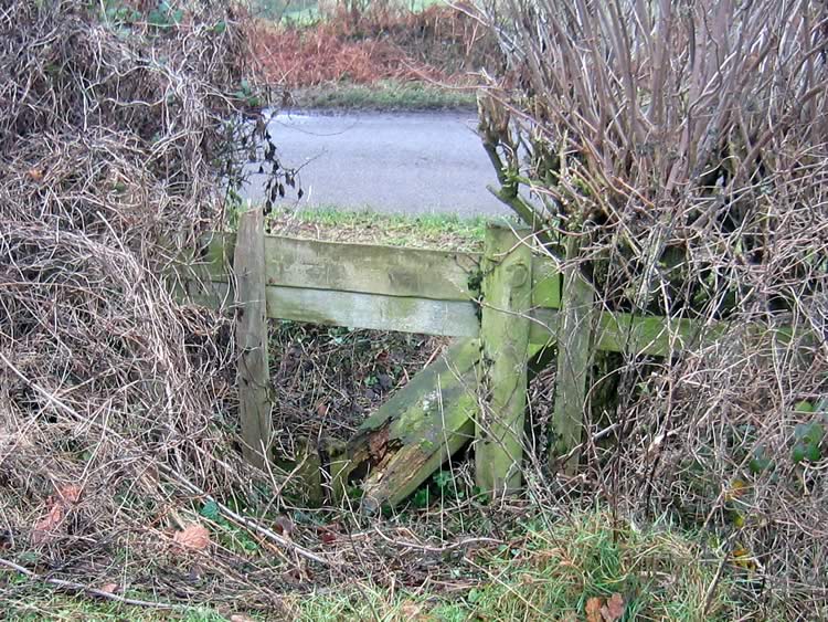 Photograph: 2007: Collapsed through step