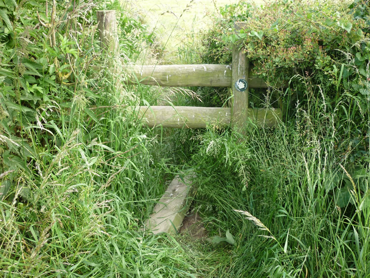 Photograph: 2009: Totally collapsed through step