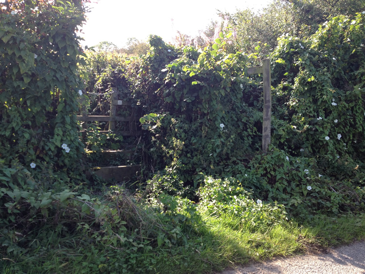 Photograph: Path clear